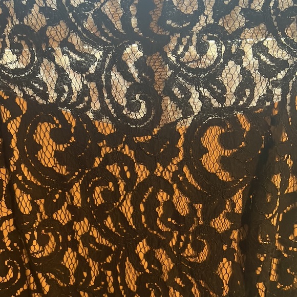 Tadasha Soji Luxury Dress Size 16 - Picture 2 of 7